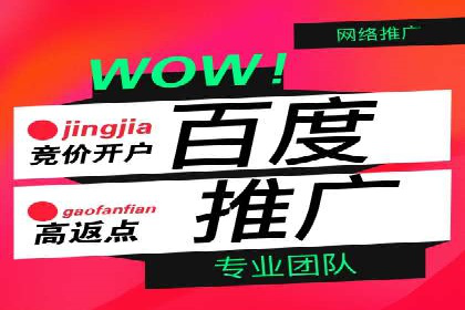 托管SEM竞价案例：揭秘高效推广秘籍