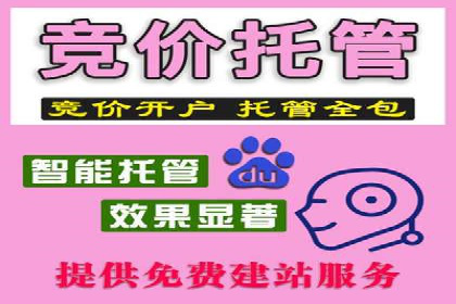 SEM运营公司案例分享：企业品牌建设之道