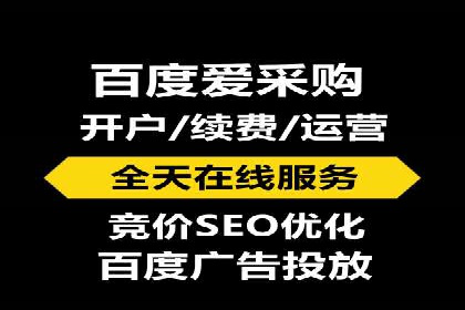 百度SEO推广公司案例剖析：助力企业提升排名