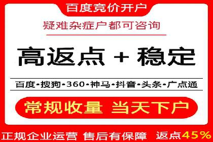 成功SEM竞价托管案例分析报告